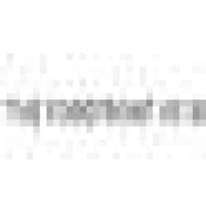 INSTANT-TAR-PROFILE-2021-B-45-1.jpg